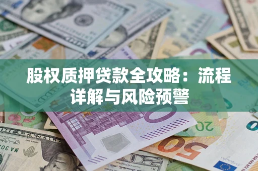 北京股权质押贷款全攻略：流程详解与风险预警