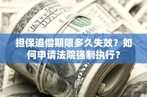 北京担保追偿期限多久失效？如何申请法院强制执行？