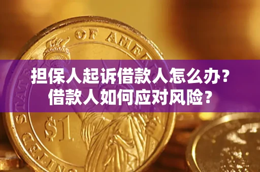 北京担保人起诉借款人怎么办？借款人如何应对风险？